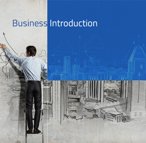 Business Introduction