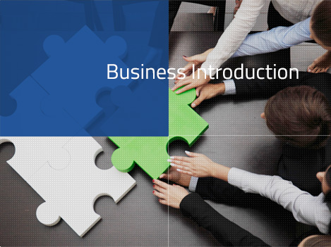 Business Introduction